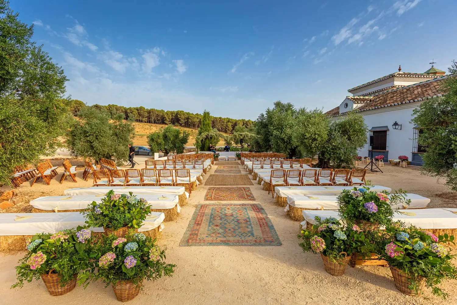 Un pasillo de ceremonia entre olivos: alfombras sobre la arena, bancos con colchonetas blancas y cestas de hortensias