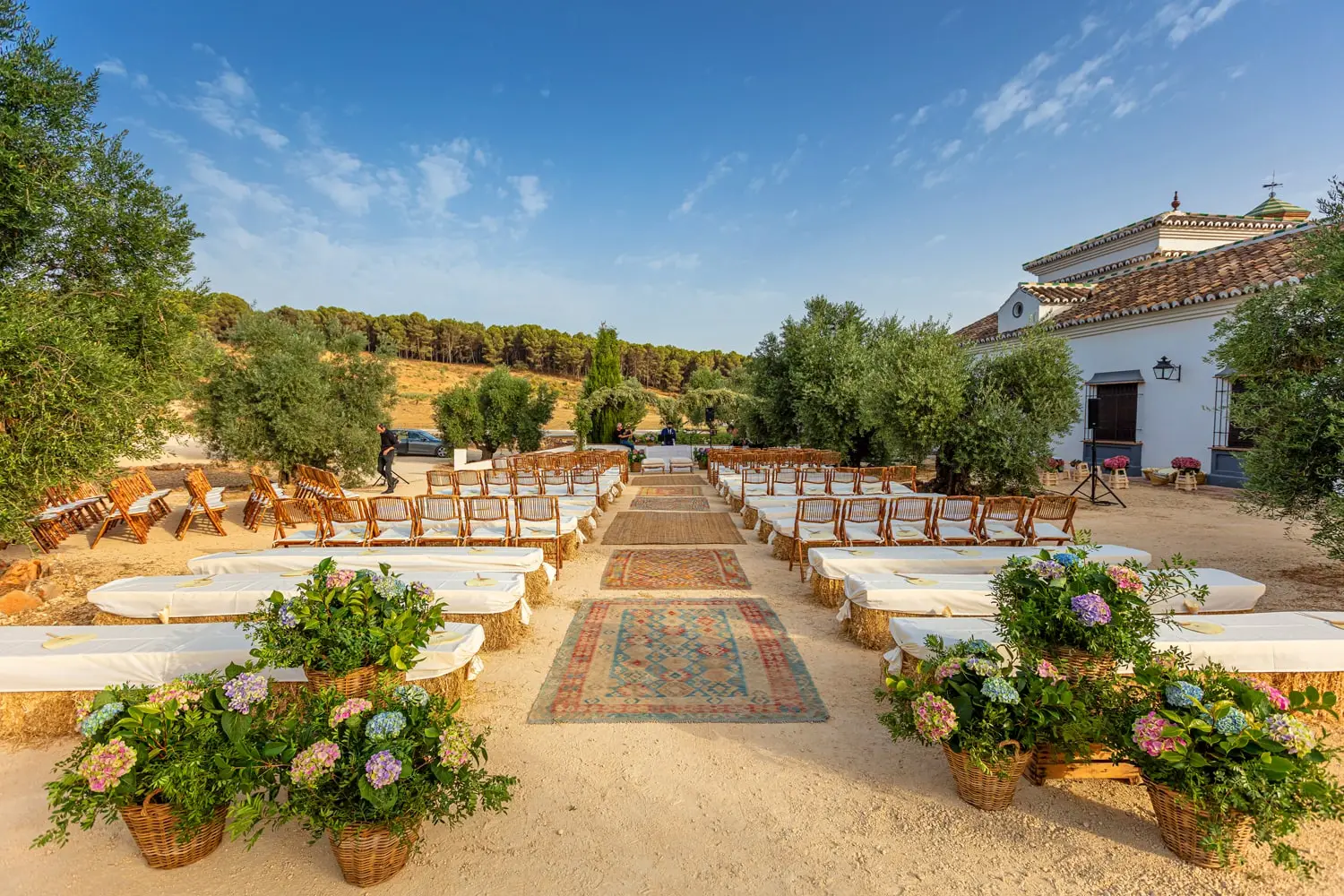 Un pasillo de ceremonia entre olivos: alfombras sobre la arena, bancos con colchonetas blancas y cestas de hortensias
